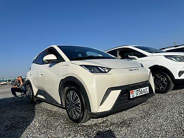 BYD: BYD Seagull: 2023 г., 0.1 л, Автомат, Электромобиль, Хэтчбэк — 1
