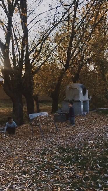 Продажа коттеджей и домов: Продаётся жилой дом с большим участком. 🌿 Продаётся уникальный — 11