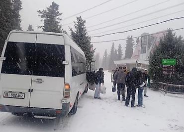 Пассажирский бус на заказ: Спринтер на заказ — 2