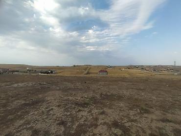 Torpaq sahələrinin satışı: 12 sot, Kupça (Çıxarış) — 5