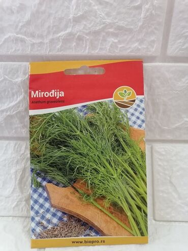 Semena i sadnice: Cena 500din/kesica — 12