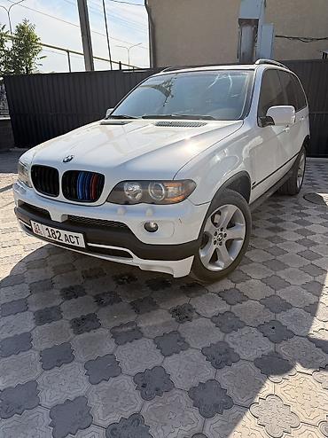 BMW: BMW X5: 2004 г., 3 л, Автомат, Бензин, Кроссовер — 14