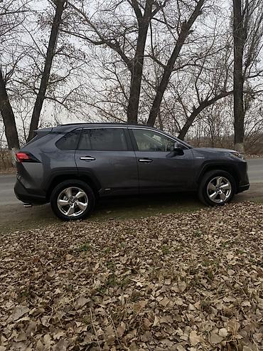 Toyota: Toyota RAV4: 2019 г., 2.5 л, Вариатор, Гибрид, Кроссовер — 5
