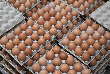 Продукты питания: СРОЧНО !!! Продаю яйца !!! Свежие с3 ( 44-53 гр) !!! Бесплатная