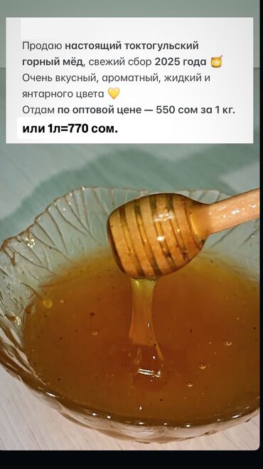 одеяло с подогревом бишкек: Продаю мед! Срочно
Цена в фото, пишите на вотсапп