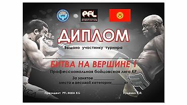 переплет диплома: Высокоточная печать, | Книги, Листовки — 3