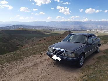 мера 124: Mercedes-Benz W124: 1990 г., 2 л, Механика, Бензин, Седан — 7
