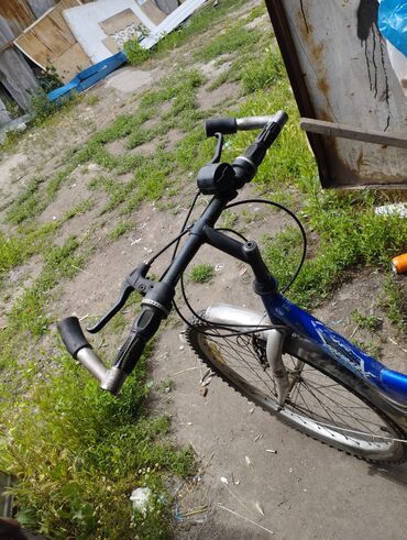 сидушки на велосипед: Городской велосипед, Alton, Рама XS (130 -155 см), Б/у