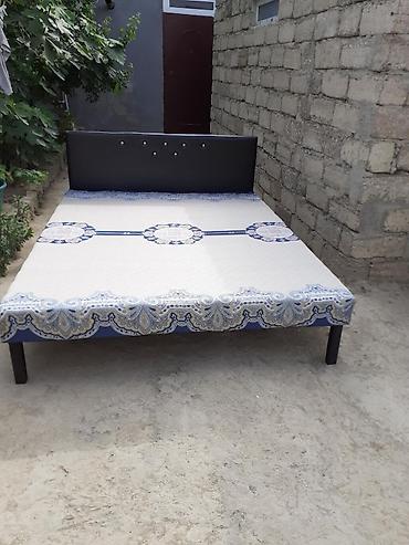 Kravat 
Taza