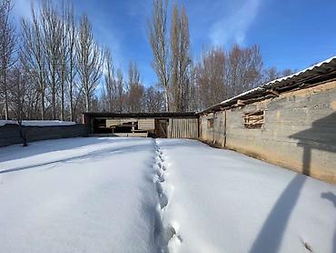 Продажа домов: Дом, 35 м², 7 комнат — 14