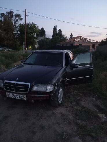 американская короткошёрстная кошка купить: Mercedes-Benz C-Class: 1994 г., 2.2 л, Автоматические, Бензин, Седан