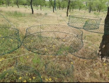 домашнее задание по кыргызскому языку 4 класс: Продаются раколовки трёх размеров: 50 см – 300 сом 70 см – 400 сом