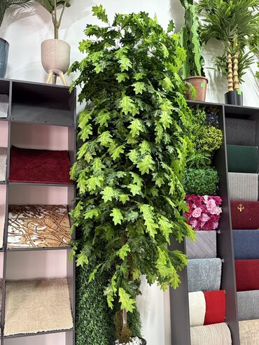 Güzgülər: Güzgü Divar üçün — 12