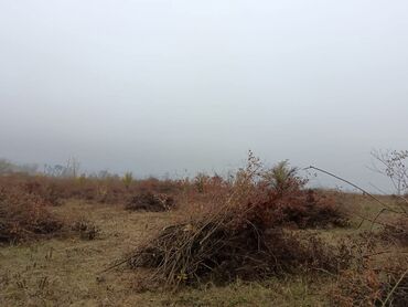 Prodaja zemljišta: 58 ares, Poljoprivredno zemljište, Vlasnik — 3