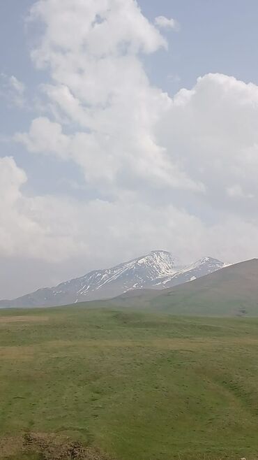 Torpaq sahələrinin satışı: 2 sot, Kənd təsərrüfatı, Barter mümkündür, Bələdiyyə