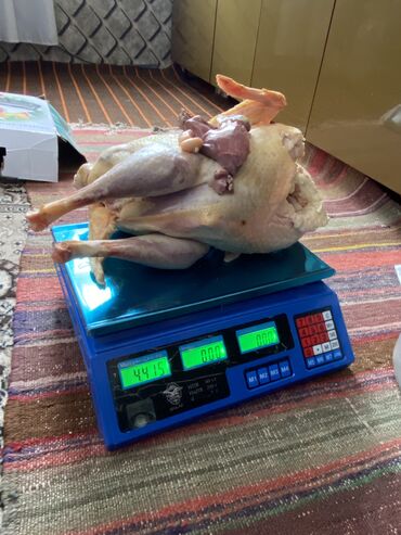 Hinduşkalar: Erkək, Ətlik, Ünvandan götürmə — 12