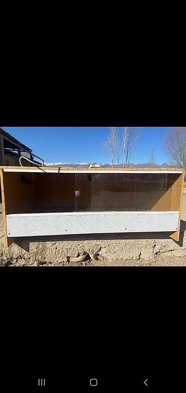 Товары и оборудование для с/х животных: Брудер для цыплят/молодняка птицы - Закрытая теплая коробка с — 4