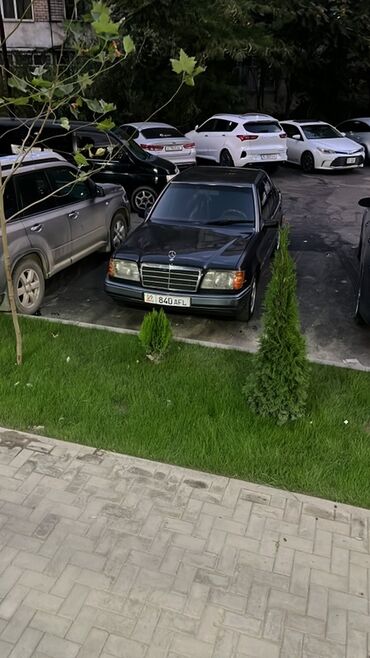 скутер 150 кубов по документам 50 купить: Mercedes-Benz W124: 1994 г., 2.2 л, Механика, Бензин, Седан