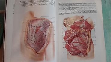 Digər kitablar və jurnallar: Продам книгу "Хирургическая анатомия конечности человека" Москва 1983 -da lalafo.az — 6 Digər kitablar və jurnallar: Продам книгу "Хирургическая анатомия конечности человека" Москва 1983 — 6