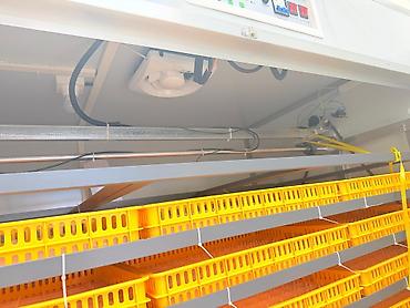 İnkubatorlar: 5000 yumurta, Çin, Azərbaycan dilində təlimat, Bütün növ quşlar üçün, Fabrik istehsalı — 8