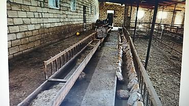 mida yasamal da ev satılır: FERMA HAZIR ISTIFADEYE YARARLI HEC BIR XERC TELEB ETMIR UMUMILIKDE 4 — 1