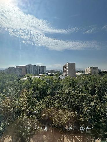 real sight: 1 комната, 33 м², Советская/Скрябина Элитка, 7 этаж, Свежий ремонт — 5