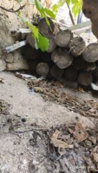 ведра строительные оптом: Salam.
şalbanlar satılır. 
razılaşma yolu ilə