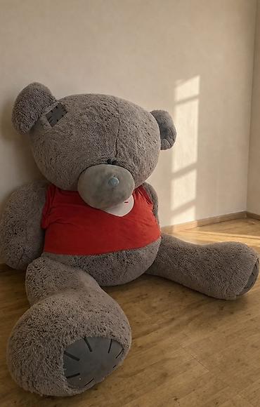 poni yumşaq oyuncaqlar: Nəhəng yumşaq ayı oyuncağı - Rəng: boz, qırmızı köynəkli - Material — 1