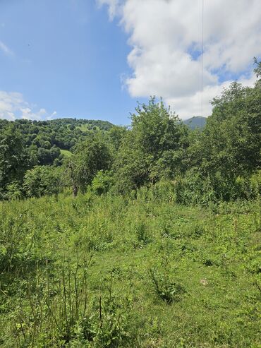 Torpaq sahələrinin satışı: Satış: Dağ mənzərəli torpaq sahəsi - Yaşıllıqla əhatəli, sakit təbiət — 2