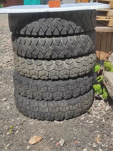 Шины: Предлагаются к продаже шины для различных видов техники. На — 17