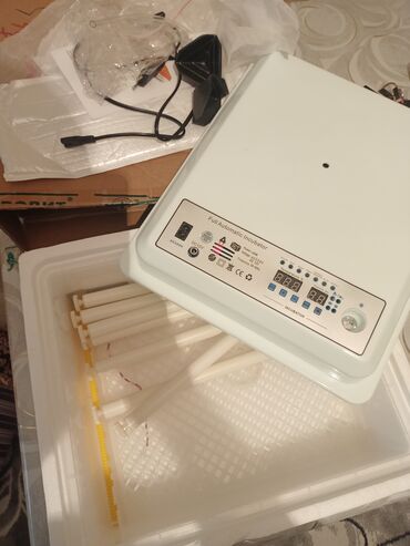 inkubator satisi: Salam inkubator 36 yumurtalıq di tam 100 95 faiz çıxarır 1 dəfə