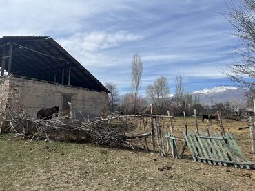 акжар дом: Времянка, 80 м², 3 комнаты, Собственник