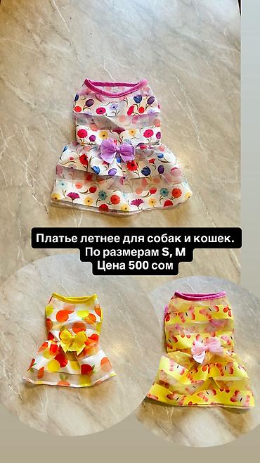 Зоотовары: Одежда для кошек и собак. Все НОВОЕ РАЗМЕР И ЦЕНА УКАЗАНЫ НА ФОТО — 24