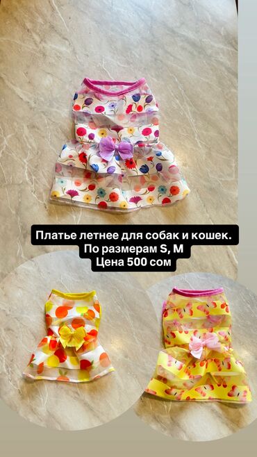 разные породы кошек: Одежда для кошек и собак. Все НОВОЕ РАЗМЕР И ЦЕНА УКАЗАНЫ НА ФОТО