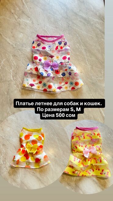 Зоотовары: Одежда для собак и кошек, большой выбор Все НОВОЕ РАЗМЕР И ЦЕНА — 19