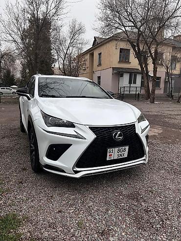Lexus: Lexus NX: 2017 г., Кроссовер — 3