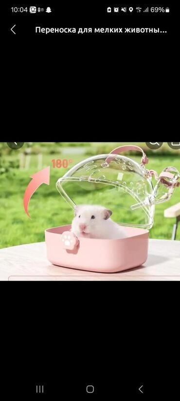 продажа домашних животных: Продаю клетки для хомячков. есть много разных от 500 до 1200 сом. на