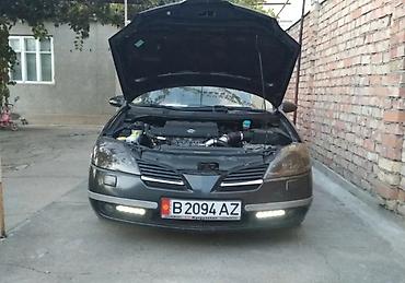 форсы черные: Продаю Nissan Primera (P12) 2.2 дизель . механика . левый руль . 2002 — 6