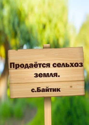 продаю дом село сары жон: 73 соток, Айыл чарба үчүн