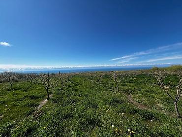 Продажа участков: Для бизнеса, Красная книга at lalafo.kg — 3 Продажа участков: Для бизнеса, Красная книга — 3