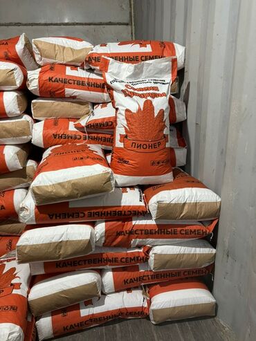 кофеварки зерновые: Семена и саженцы Самовывоз, Бесплатная доставка, Платная доставка
