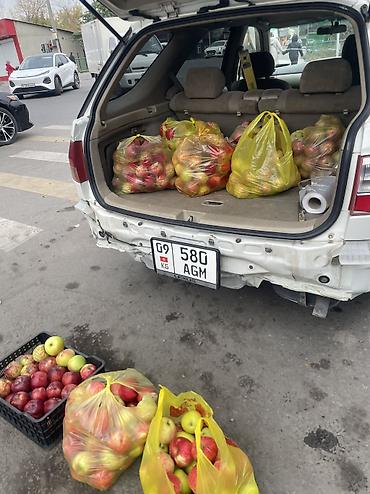 Азык-түлүктөр: Алмалар Превосход, Чекене, Дүң — 2