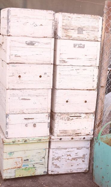 Товары и оборудование для с/х животных: Ульи около 45 комплектов. Рутовская система, корпусные, пригодны для — 8