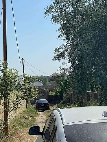 Torpaq: 12 sot, Tikinti, Mülkiyyətçi, Kupça (Çıxarış) — 6