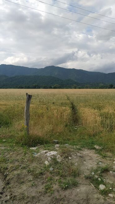 torpaq xacmaz: 27 sot, Kənd təsərrüfatı, Mülkiyyətçi, Kupça (Çıxarış)