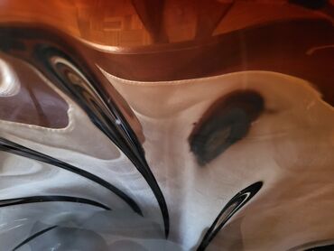 Ostali kućni dekor: Murano velika cinija,rucni rad 60,70te. Velika,retka cinija — 17