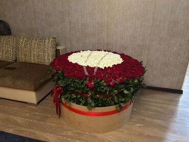 новогодние гирлянды: 1001 роза 🌹-Лучший подарок! Скидка сегодня! Цена договорная 💵💵💵