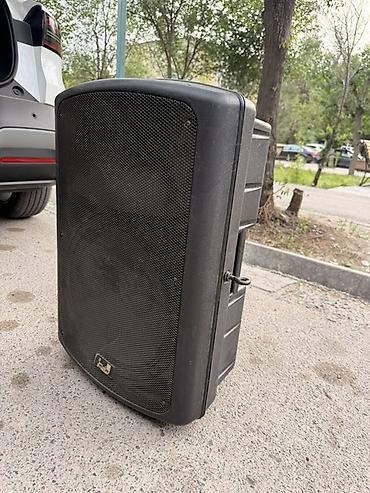 Динамики и колонки: Продаю! двухполосная акустическая система Soundking FP215. Есть торг — 3