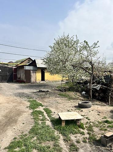 Продажа времянок: Продается участок с времянкой Район: Ак- Тиле 2 Площадь:6 соток at lalafo.kg — 5 Продажа времянок: Продается участок с времянкой Район: Ак- Тиле 2 Площадь:6 соток — 5