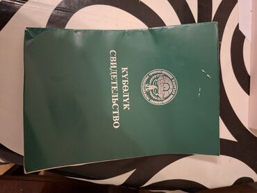 срочно продаю в связи с переездом: 1000 соток, Айыл чарба үчүн